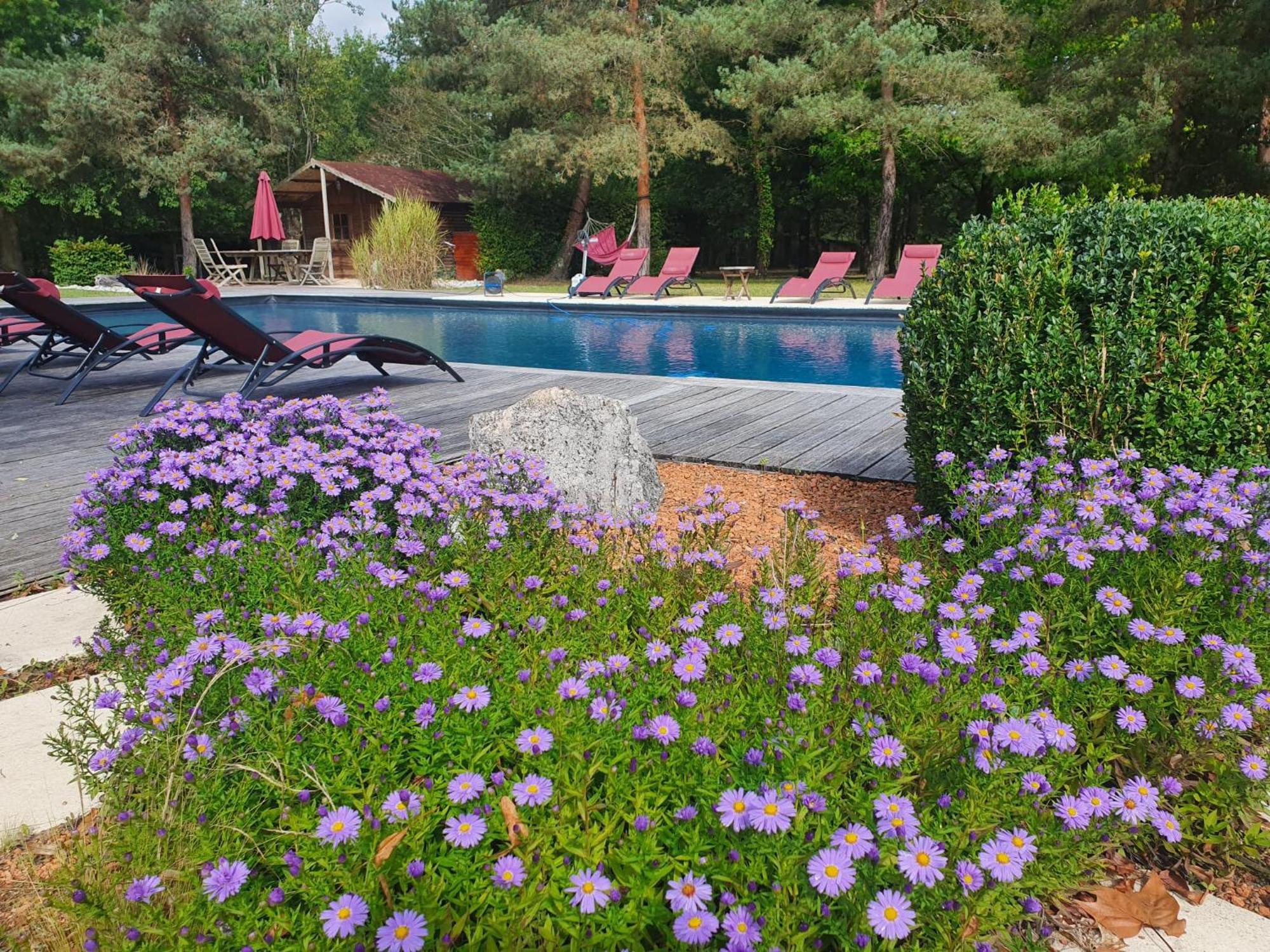 Domaine De Grand-Pas Villa Vernou-en-Sologne Bagian luar foto