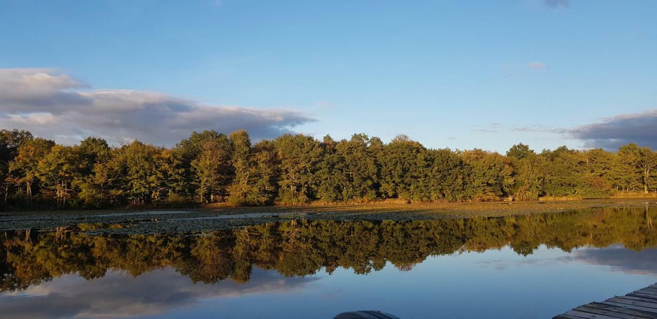 Domaine De Grand-Pas Villa Vernou-en-Sologne Bagian luar foto